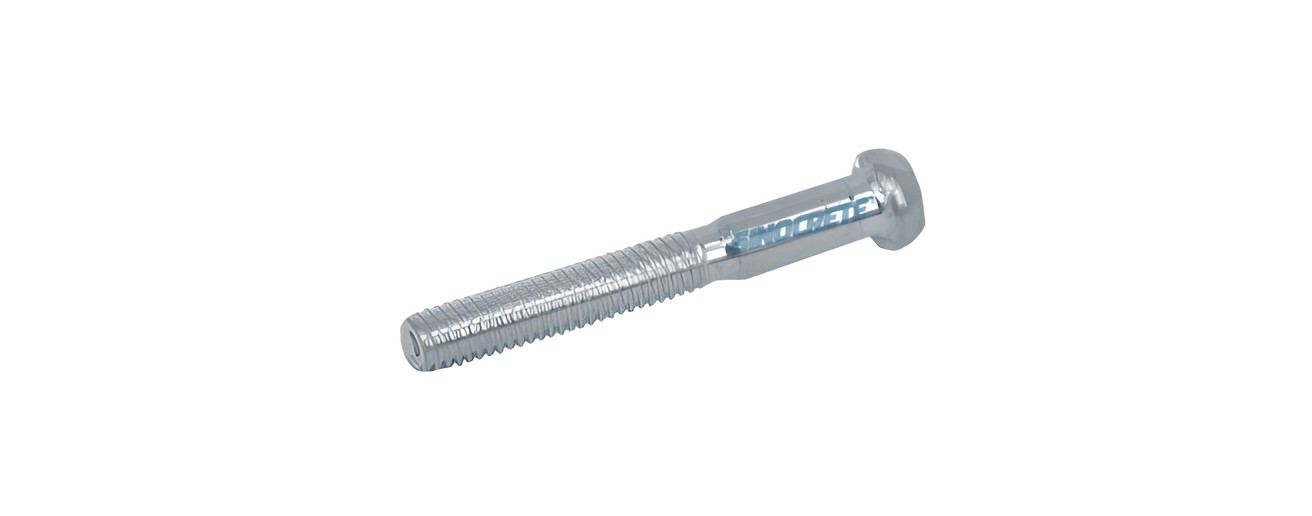 Screw Pin M6x10L
