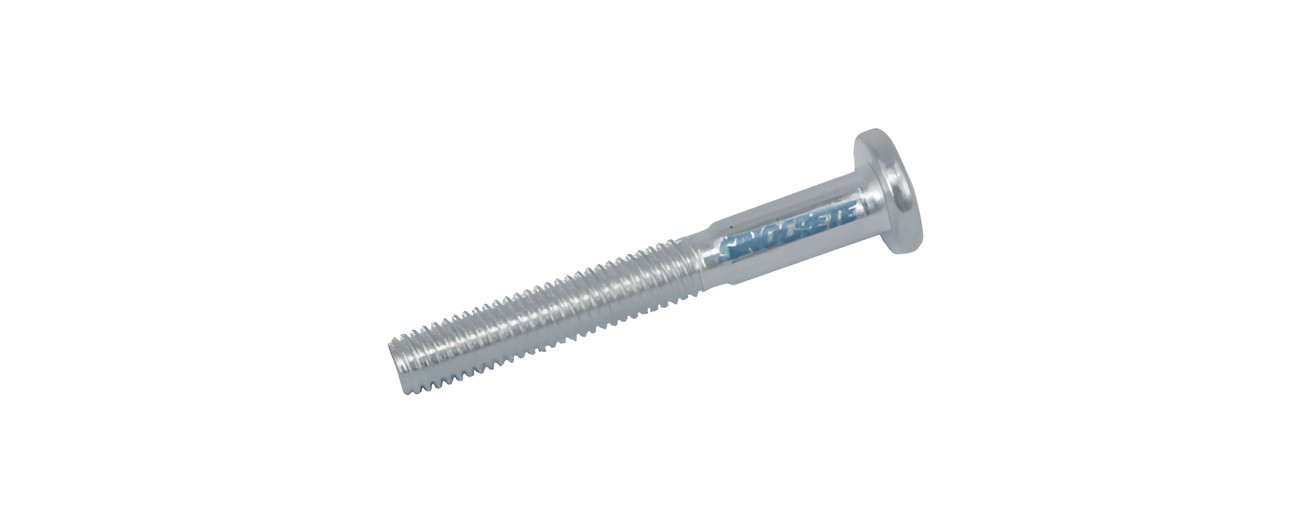 Screw Pin M6x12L
